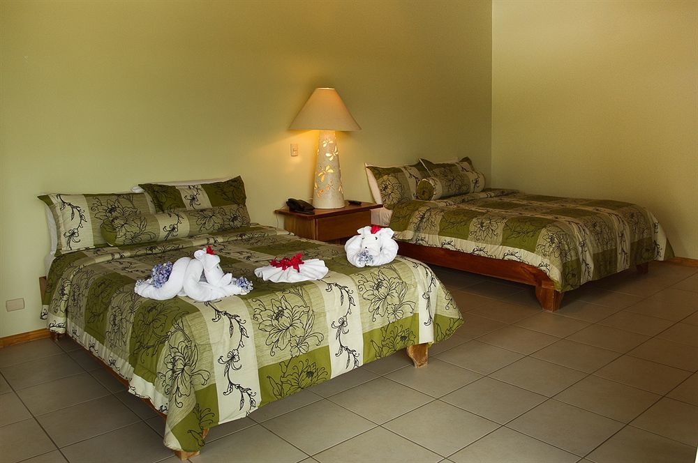 Ficus Lodge Monteverde Esterno foto